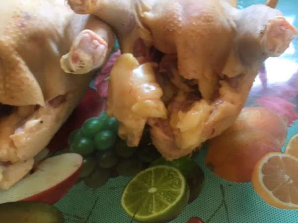 Taiem Cucos de casa la comanda