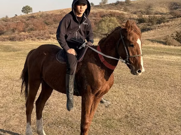 Kůň, Koně — Kazachstán