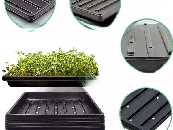 Slotted Hydroponic Growing Trays - With Holes