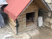 Taxta it evi - Material: qalın taxta karkas, ikiqat qırmızı — φωτογραφία 1