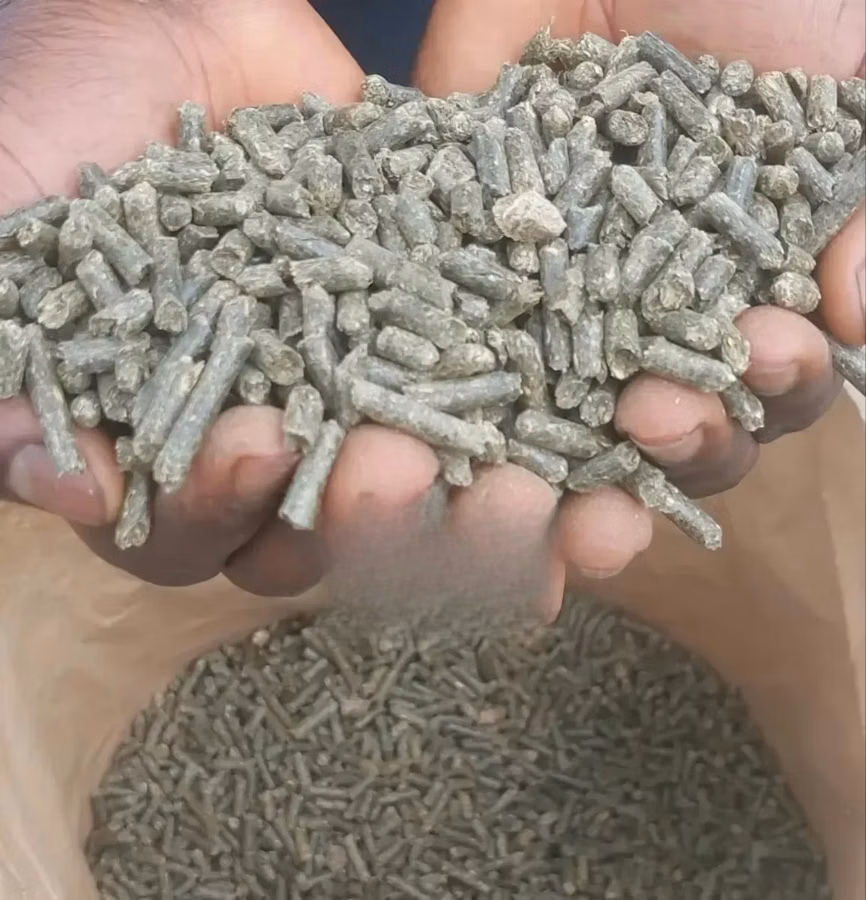 Alfalfa Pellets 25 Kg Also Wholesale Price Available.
