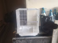 Papuqay ucun qefes 1 eded 10 azn — photo 3