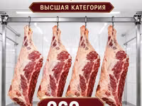 Туша — फ़ोटो 1