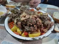 숫양, 양 — 사진 3