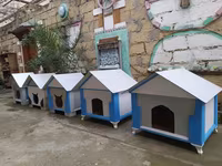Salam yuvalar pişik ve balaca itlər üçün təzədi balacadan böyüyə — foto 3