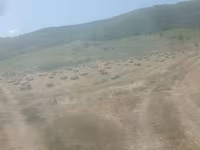 Baloți de earba — foto 2