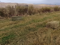 Сено в тюках (прямоугольные кипы) - Заготовлено на луговых угодьях; - — foto 2