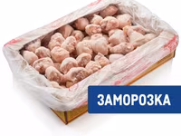 Кура — photo 1