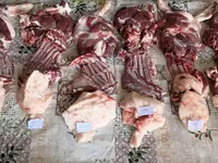 قوچ, Hissar sheep — عکس 4