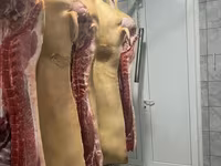 Propunem spre vânzare carne de porc proaspătă și deosebit de delicioasă. — foto 5