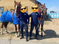 حصان, Kazakh horse — الصورة 2