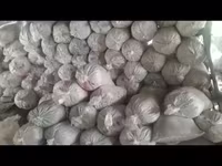 Թեփ, փայտի թեփ / апилка — Foto 1