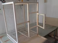 Papuqay,dovşan,hamster,şinşila,bildirçin,cücə,xamyak,pişik,quş,tısbağa — fotografija 1