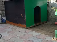Böyük ölçülü it evi - Material: möhkəm taxta karkas, üstü — รูปภาพ 4