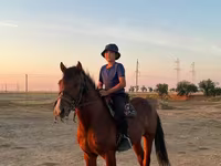 Faras, Horses — sawirka 3
