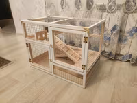 Dovşan,hamster,dağ — fotografija 3