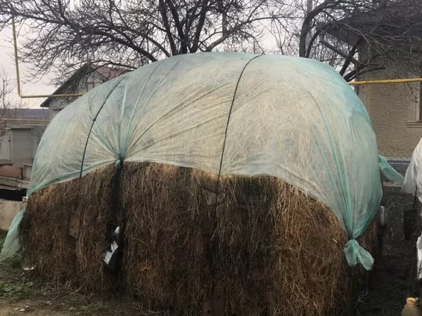 Lucernă satul Corlăteni