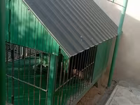 1 ildir alınıb 6 ay istifadə olunub it artıq olmadığı üçün satılır 650 — Foto 4