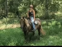 مادیان, Kentucky mountain daddle horse — عکس 7