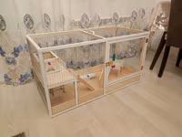 Dovşan,hamster,şinşila,bildirçin,cücə,xamyak,pişik,quş ve s kimi ev — عکس 2