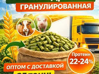 Пивная дробина гранулированная в Красном холме — عکس 1