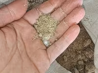 Müxtəlif növ bitki şrotları(pelet və ya jımıx da adlanır) üyüdülmüş və — الصورة 3