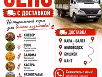 3 укос таза беде сатылат метровый плотный таза — zdjęcie 3