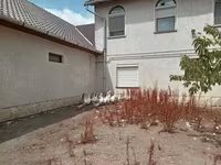 Geese — 3. fotó