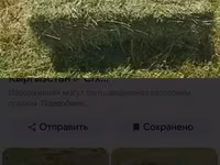 КУПЛЮ КУПЛЮ ТЮКИ,КЛЕВЕР С ПОЛЯ КУПЛЮ ТЮКИ ГОРНЫЙ СЕНО С ПОЛЯ - — снимка 2