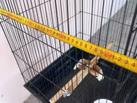 Böyük ölçülü quş qəfəsi - Material: dayanıqlı metal tor və plastik — عکس 3