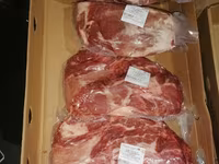 Sow, Pigs — photo 4