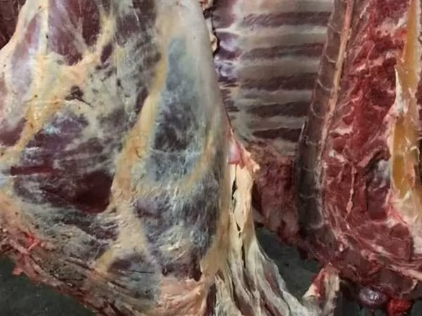 Мясо говядина 1й категории заморозка