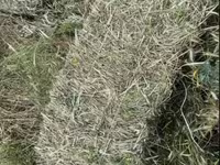 Խոտի տուկ, Յոնջա և խառը — รูปภาพ 3