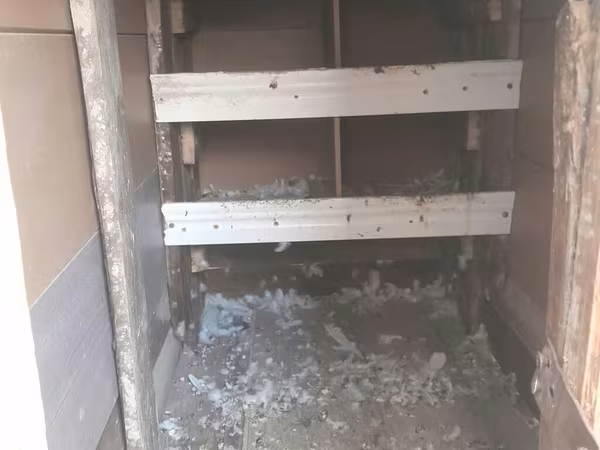 Super möhkemdir 14 16 quşluqdur qiymet 30. üstünde de bir ag