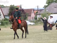 Cheval, Chevaux — photo 1