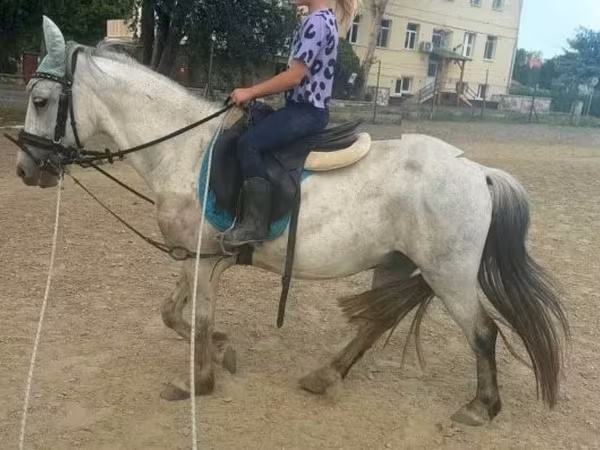 Жребец, Коне
