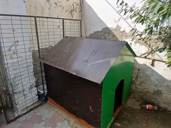 Böyük ölçülü it evi - Material: möhkəm taxta karkas, üstü