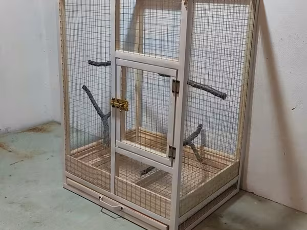 Papuqay,dovşan,hamster,şinşila,bildirçin,cücə,xamyak,pişik,quş,tısbağa