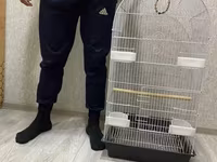 Salam yeni qefesler var satisda hudurluyu 1metir 20 sati eni ise 40 — عکس 5