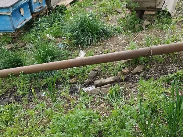 Arıçılıq üçün pətək və inventar dəsti 13 yeşik arıdı maraqlanmaq