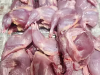 Quails — φωτογραφία 4
