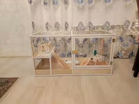 Dovşan,hamster,şinşila,bildirçin,cücə,xamyak,pişik,quş ve s kimi ev — عکس 1