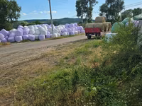 Lucernă/Senaj/ — foto 1