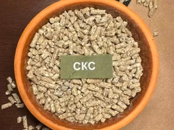 СКС Свинья Старт