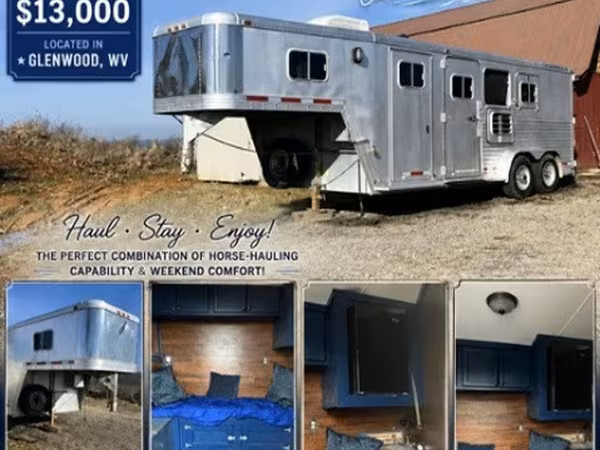 1995 Featherlite Trailers 8546 Gooseneck Horse Trailer