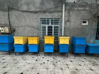 Arıçılıq üçün taxta arı pətəkləri - Model: çoxkorpuslu taxta pətək - — عکس 3