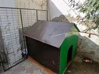 Böyük ölçülü it evi - Material: möhkəm taxta karkas, üstü — รูปภาพ 2