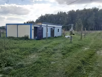 Pecora, Romanov sheep — foto 5