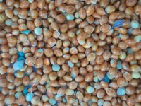 Darı satlır — عکس 2