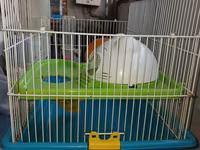 Hamster üçün tam dəst qəfəs uzunluqu 55 sm hündürlük 45 sm eni 30 sm — Foto 3